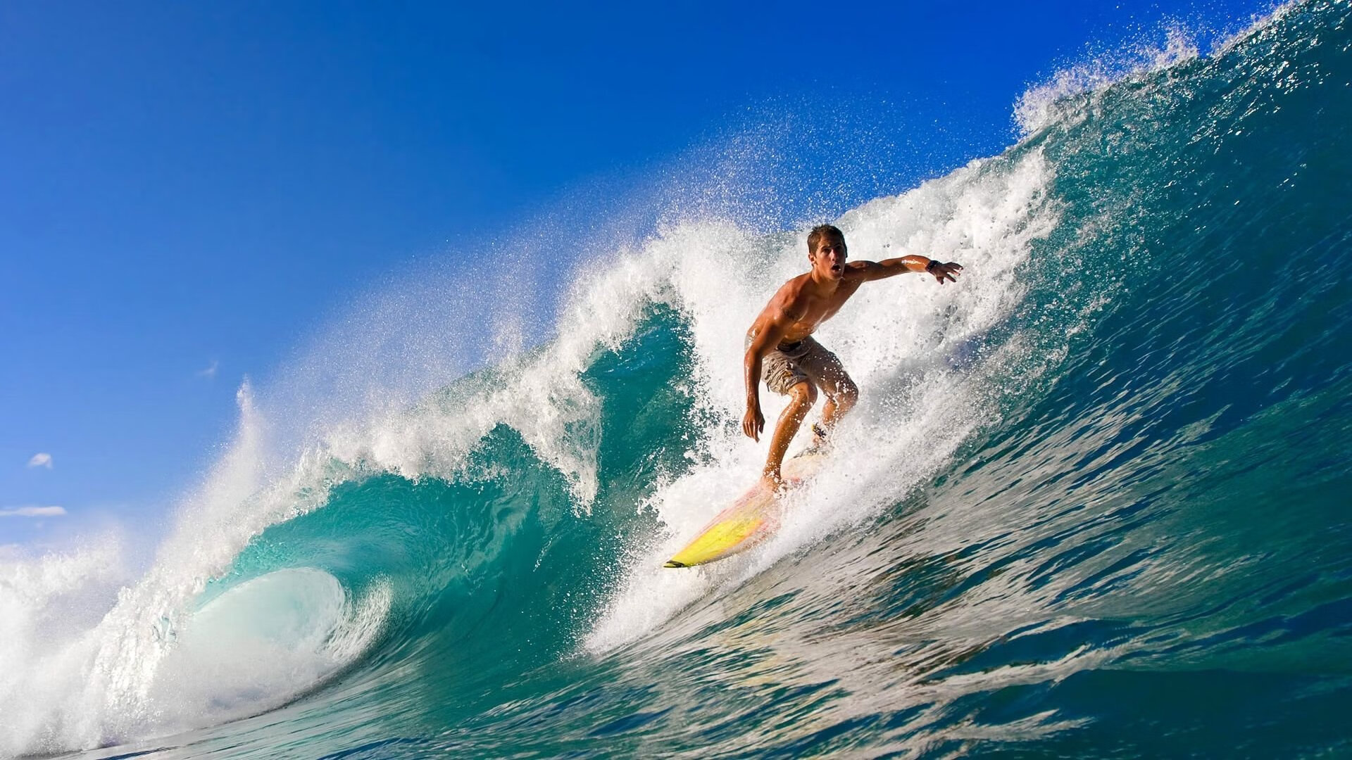 史上最激烈“冠军夜”：精彩激战不断！，zq冠军之夜