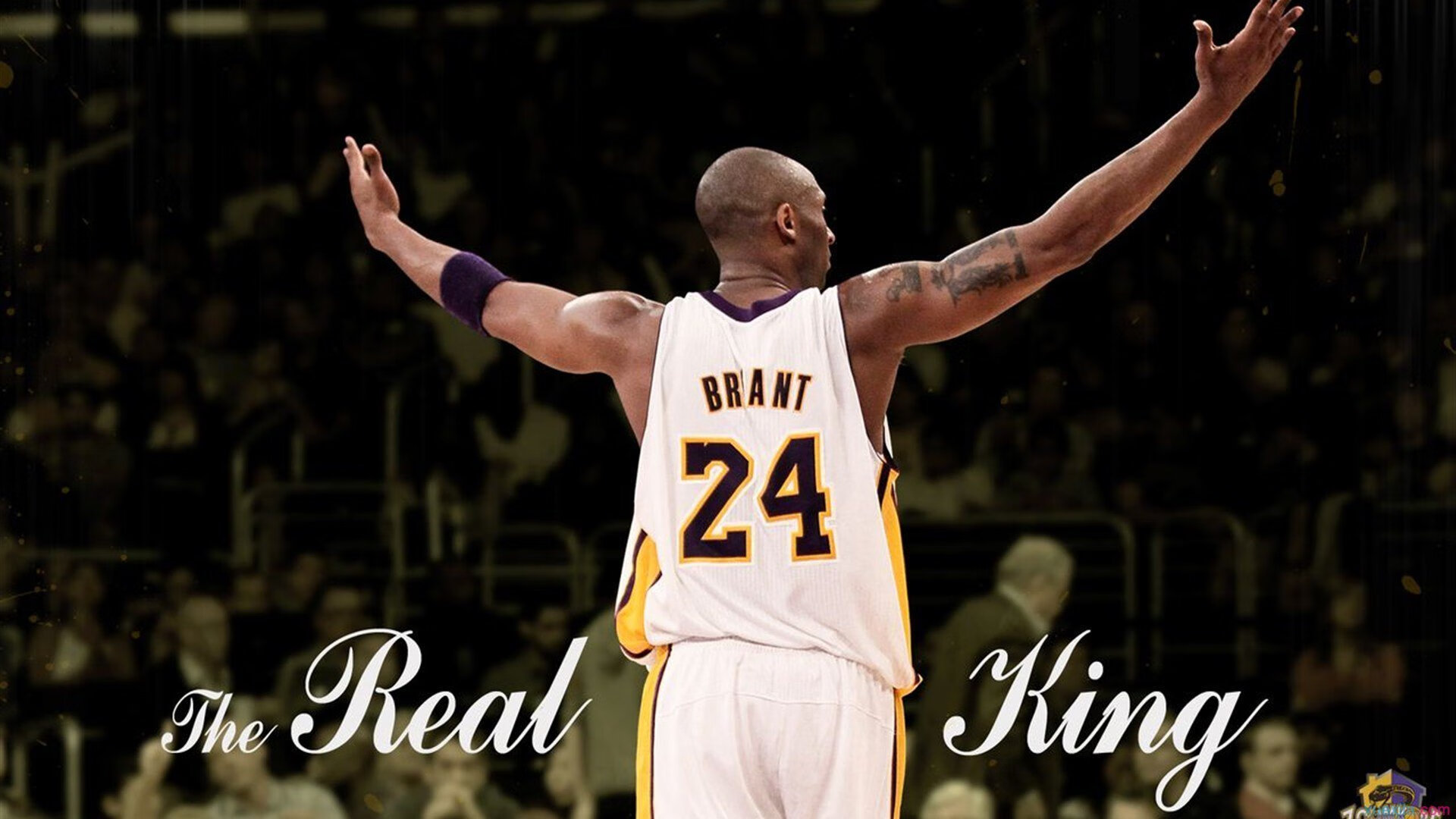 未来之星崭露头角：WRC新秀展现锋芒，未来之星是什么牌子